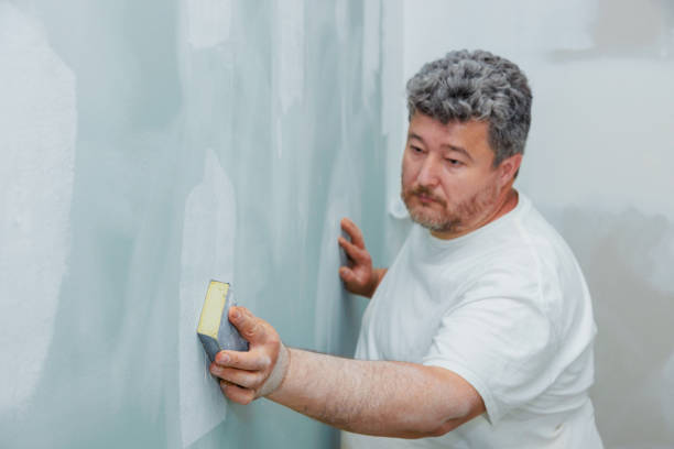 Best Mold Odor Removal Services  in Cherry Hill Mall, NJ